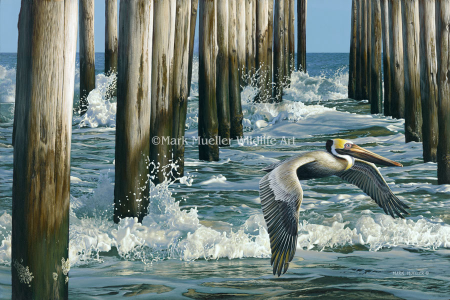 Fishing Pier Pelican Painting by Wildlife Artist Mark Mueller
